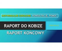 Szkolenie Raport do Kobize, Ćwiczenia, Warsztaty, cena , sprawozdanie