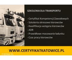 Certyfikat Kompetencji Zawodowych Katowice