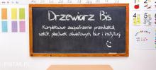 meble szkolne producent Drzewiarz-Bis