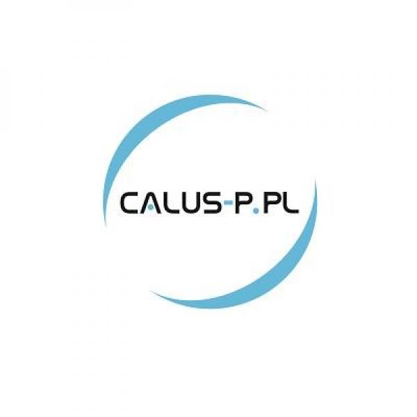 CALUS-P - producent elementów przestrzeni publicznej