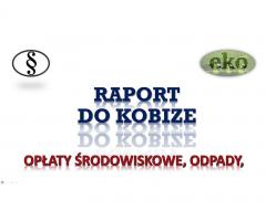 Założenie konta w bazie Kobize, cena tel. 502-032-782. Wykonanie raportu.2017,2018
